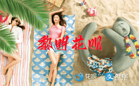 可见一斑花呗